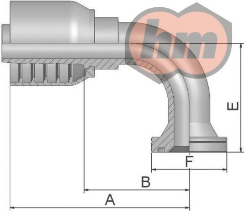 SFS 90° 6000psi, 1" 47,63mm, DN19